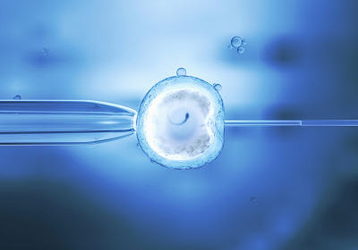 泰州捐卵靠谱吗-如果一个女人没有卵子，可以做试管婴儿吗？
